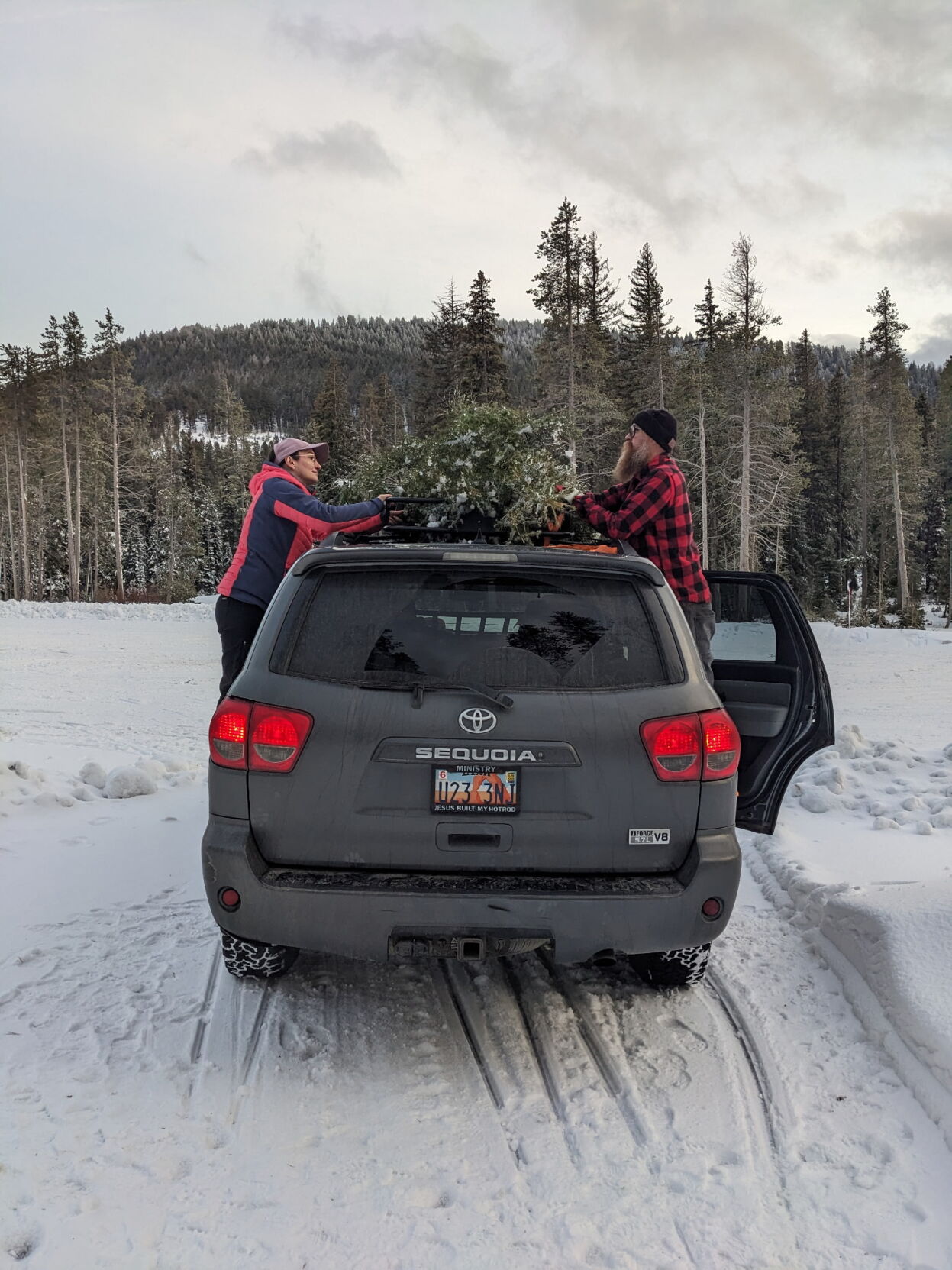 Parade of evergreens makes its way to people’s homes in time for Christmas