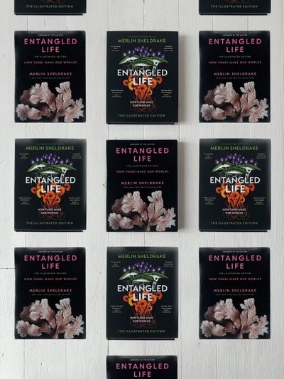 Seven climate books to add to your year-end reading list – Sun, 28 Dec 2025 PST