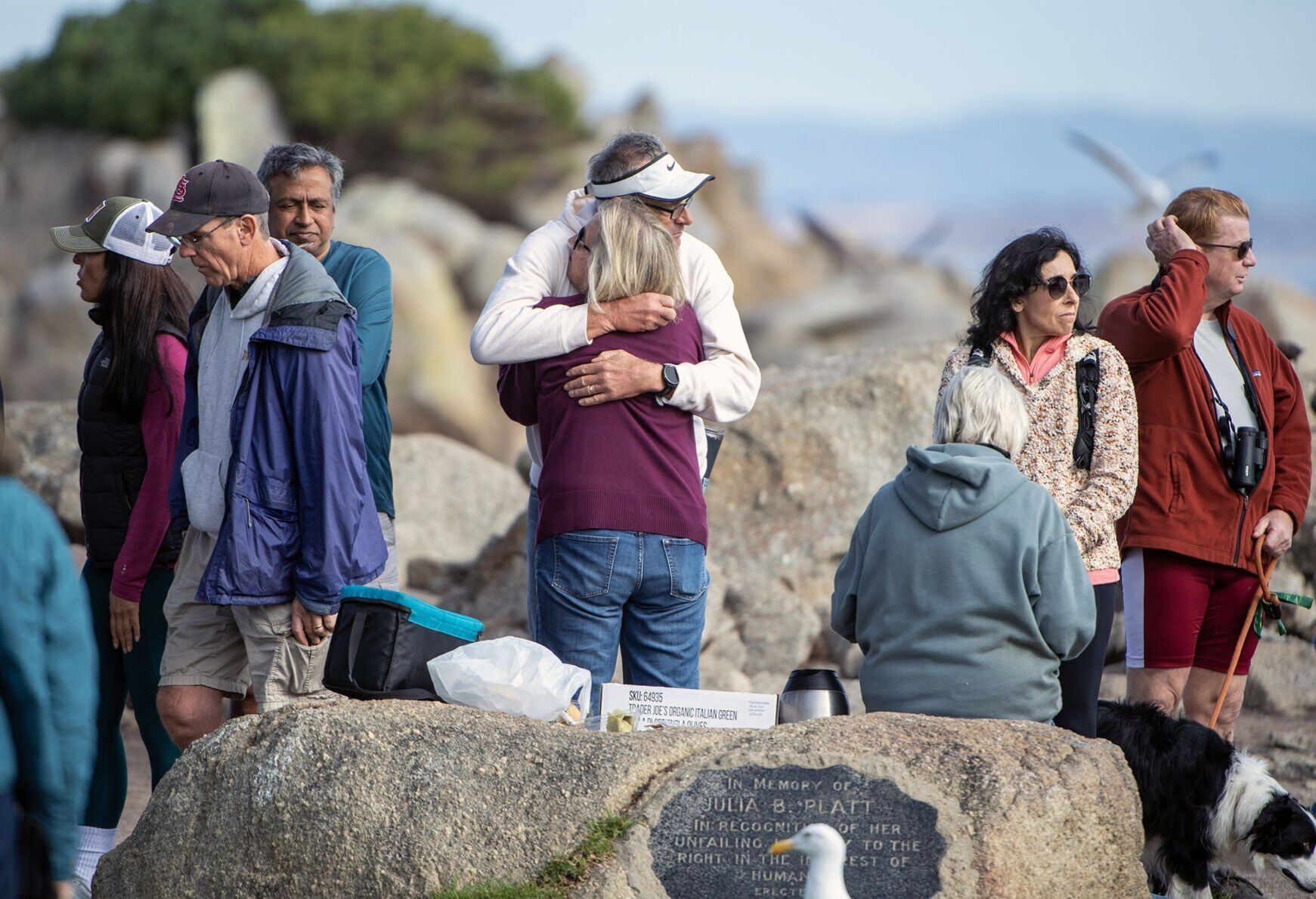 Suspected shark attack at California occurred in time and place where large sharks come to feed