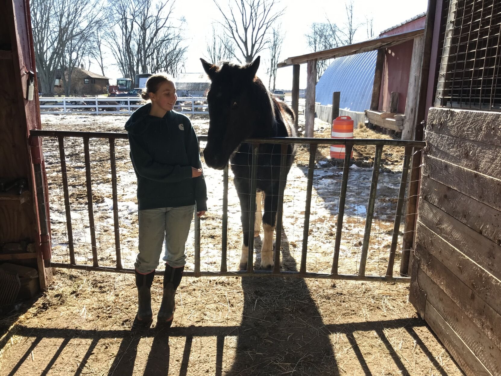 Lakeview Animal Sanctuary searching for a few good shepherds