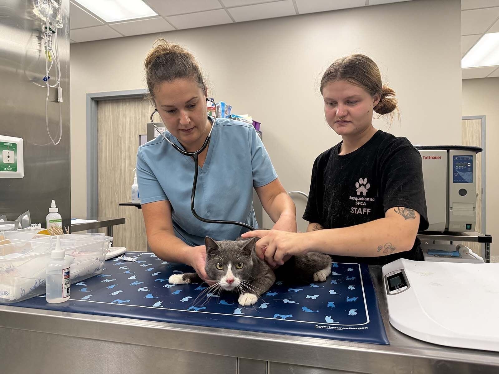 Animal shelters deal with changes in state regulations