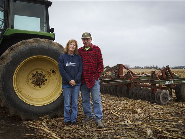 Editorial: Family farm dilemma