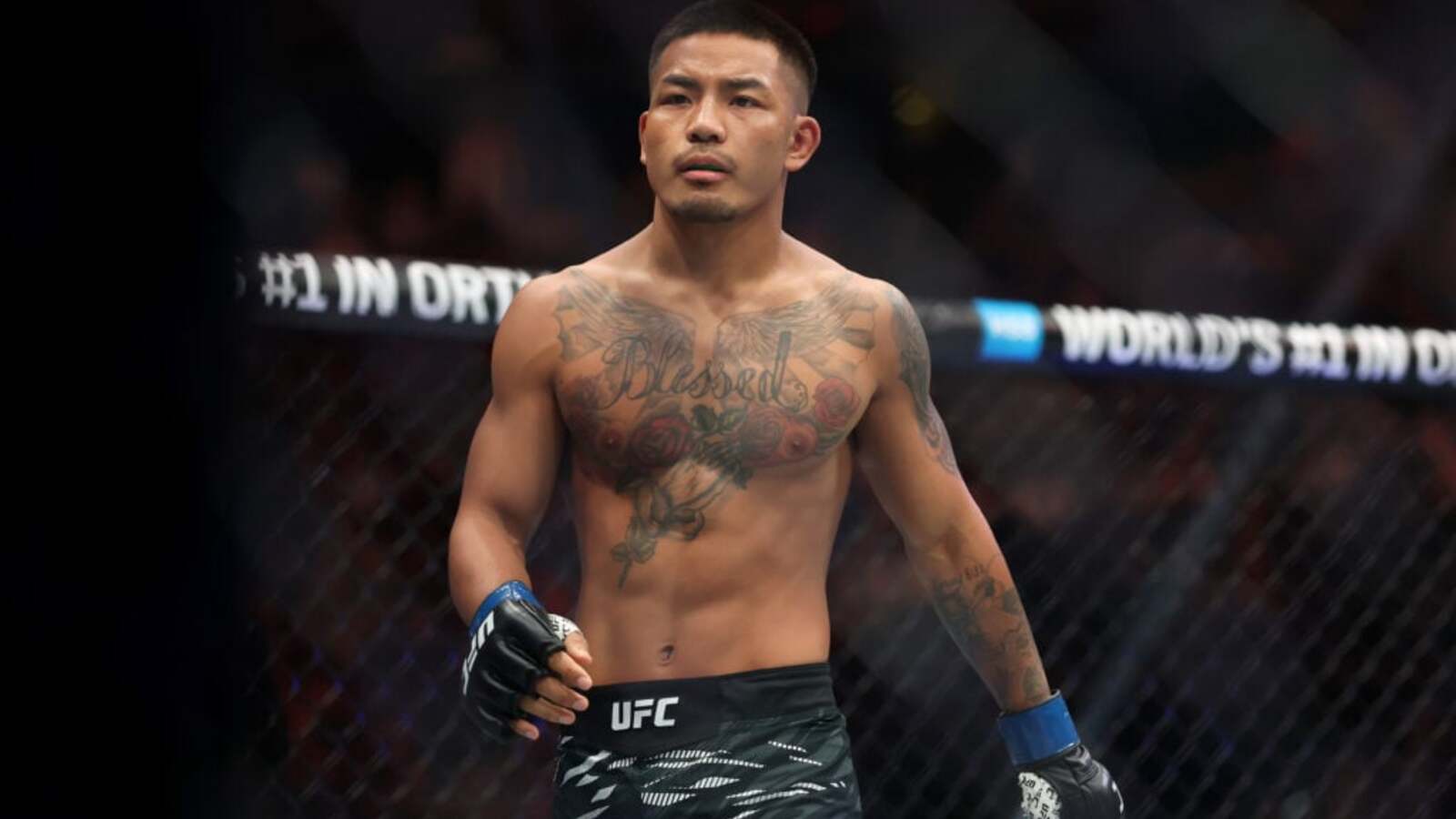 Joshua Van explains why he ranks Alexandre Pantoja over Demetrious Johnson in flyweight GOAT debate