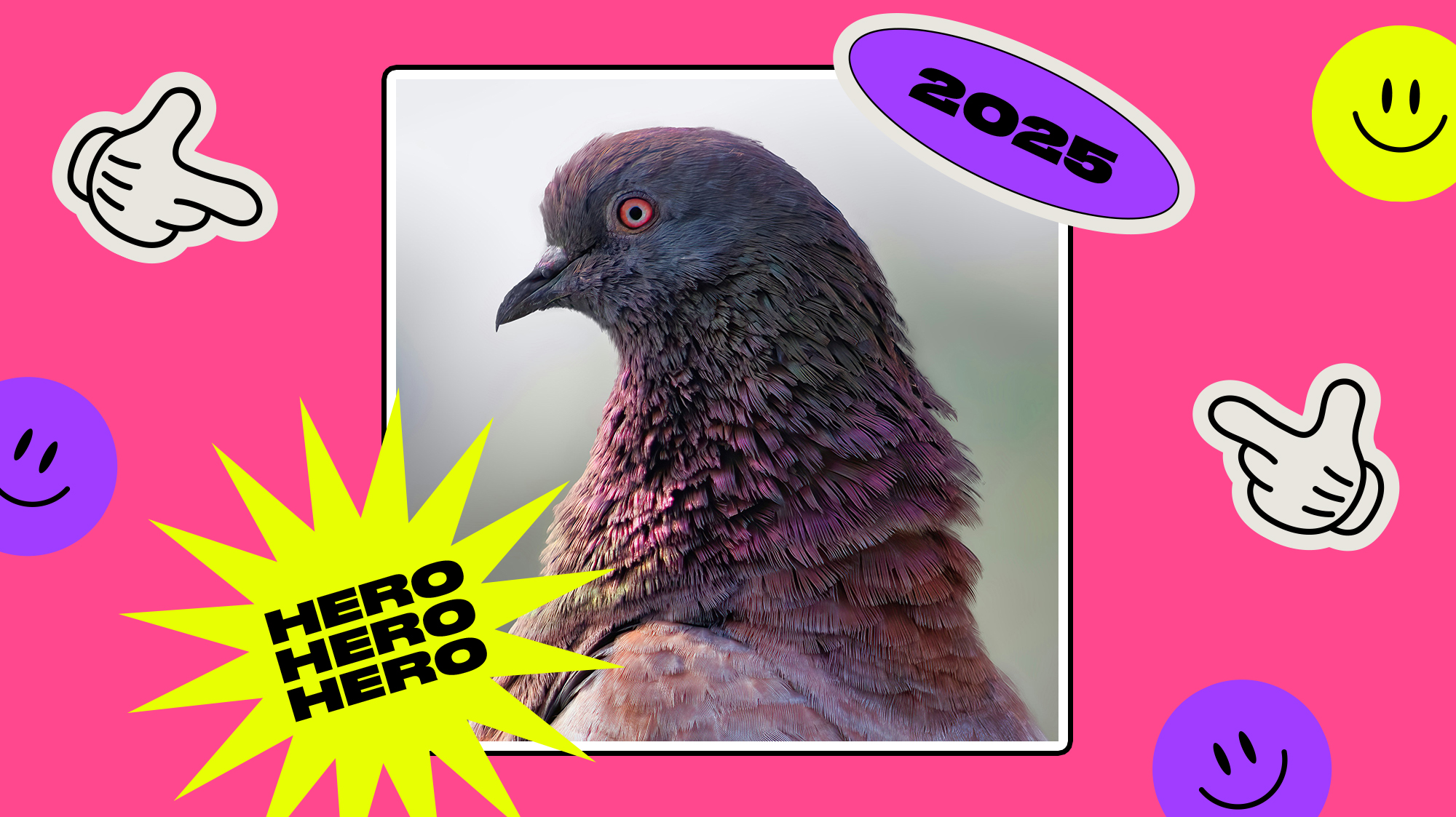 Hero of 2025: Plucky Pigeons