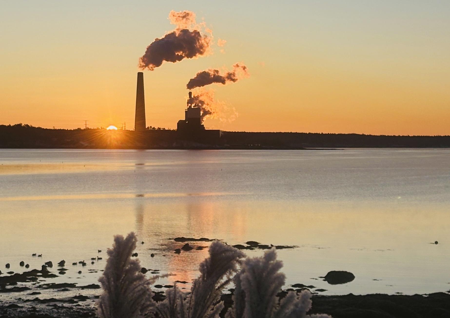 Maine’s energy policy looks to be going up in smoke | Tux Turkel