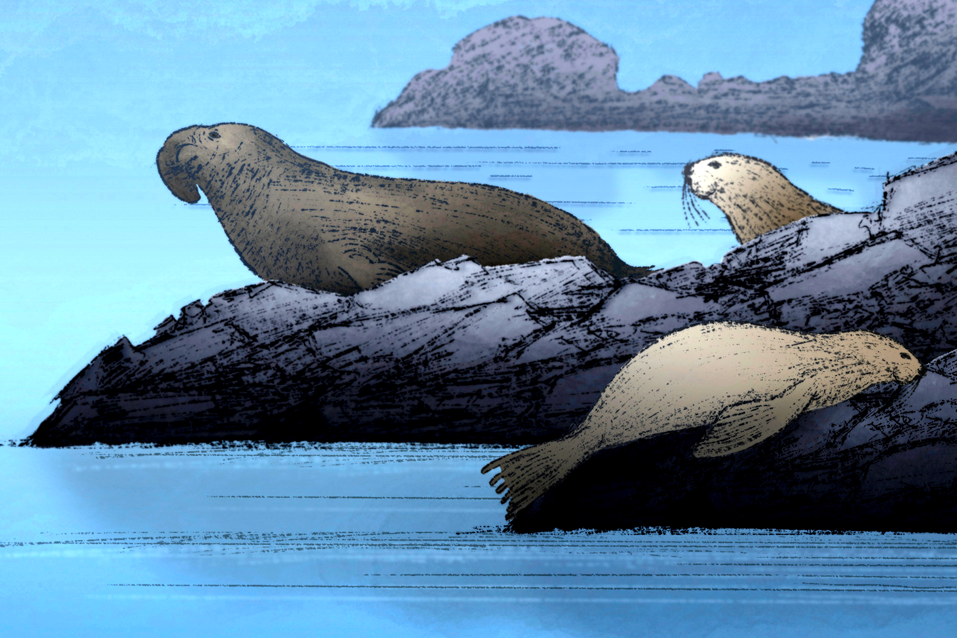 Nodding off is dangerous. Some animals have evolved extreme ways to sleep