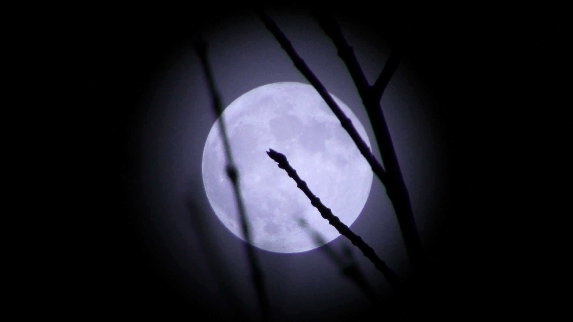 January’s Wolf Supermoon Will Offer the Perfect Start to the New Year