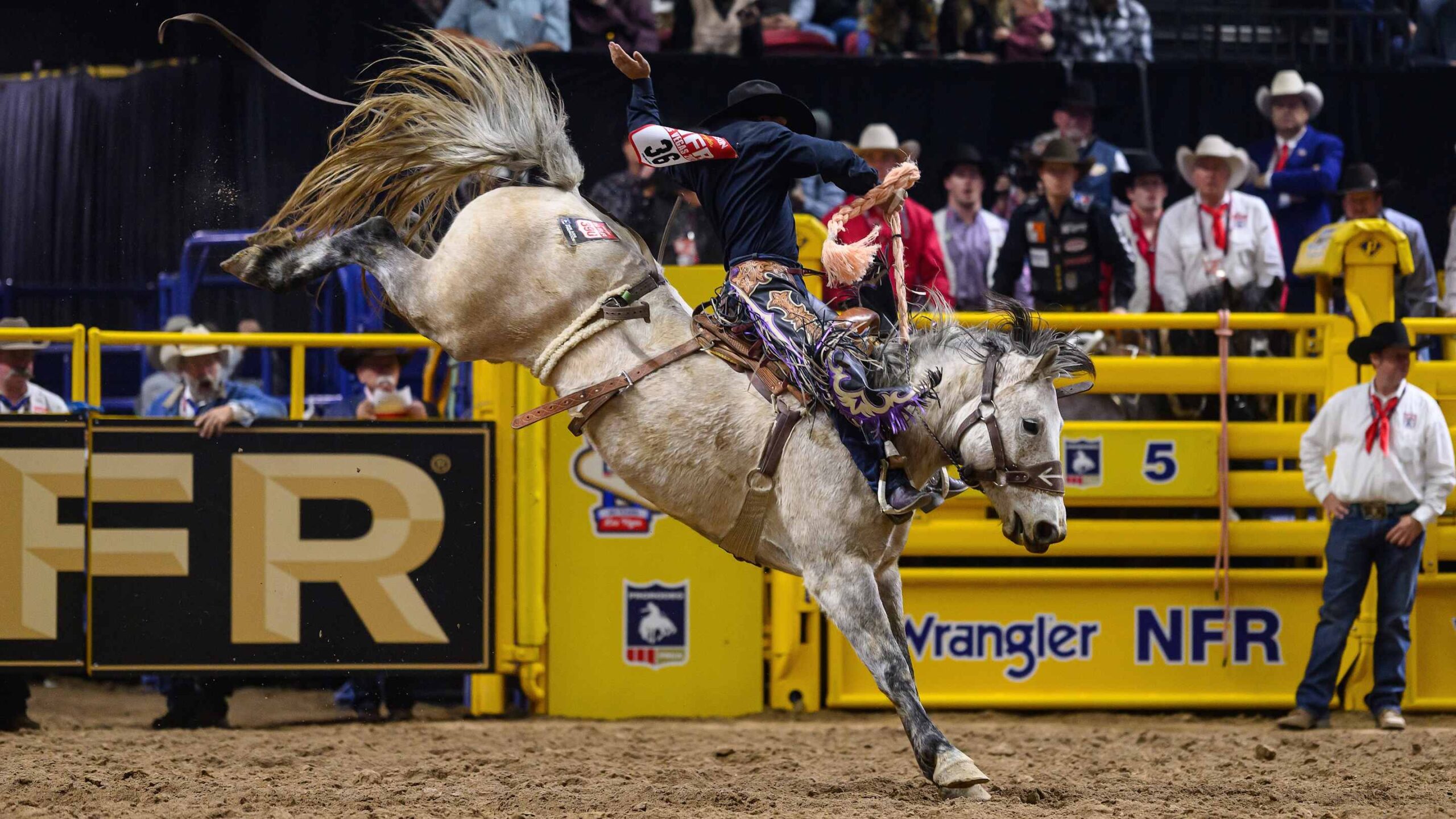 Summit Pro Rodeo’s Horses Sweep Buck and Ball Victories