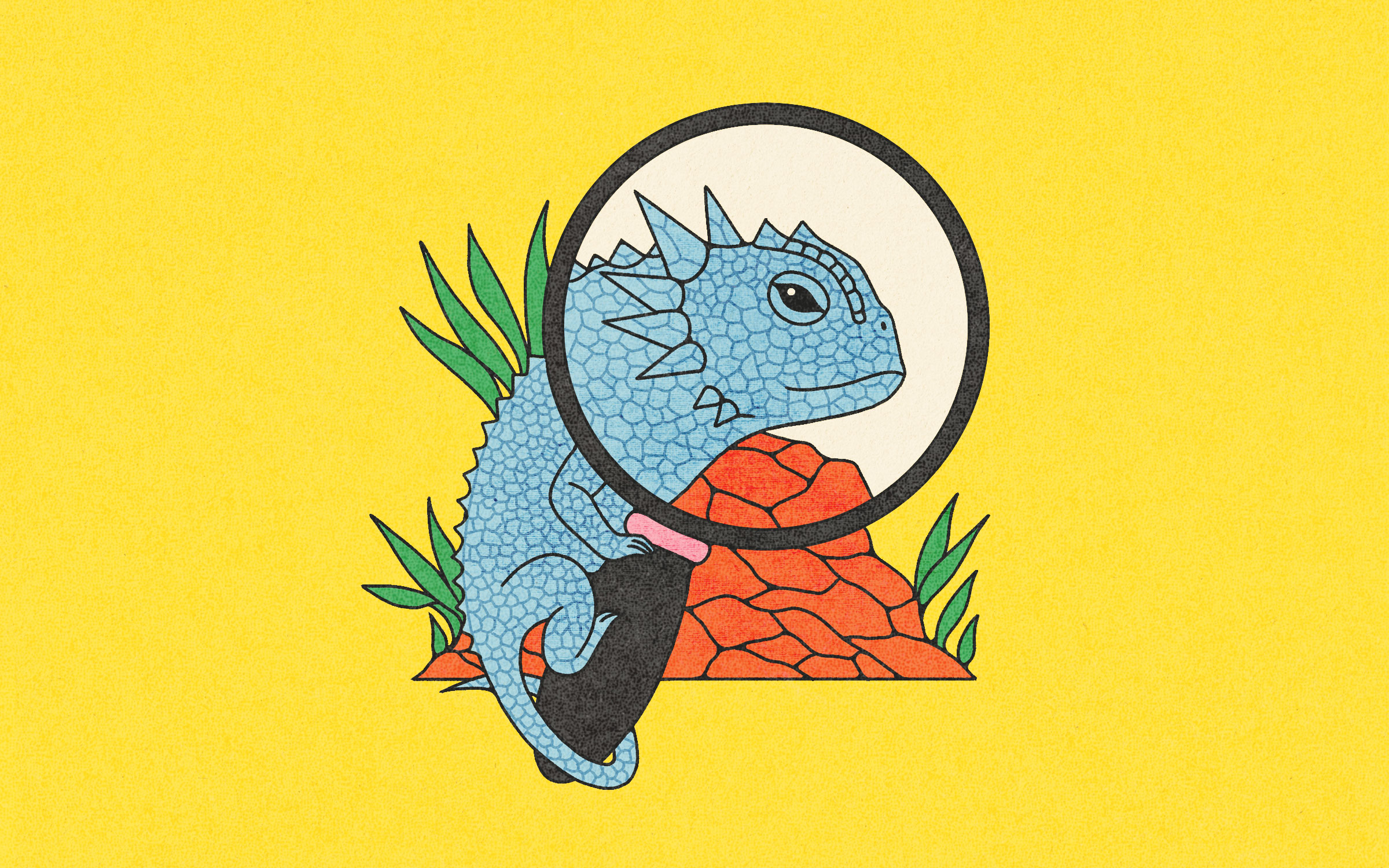 Word Wrangler: January 15, 2026