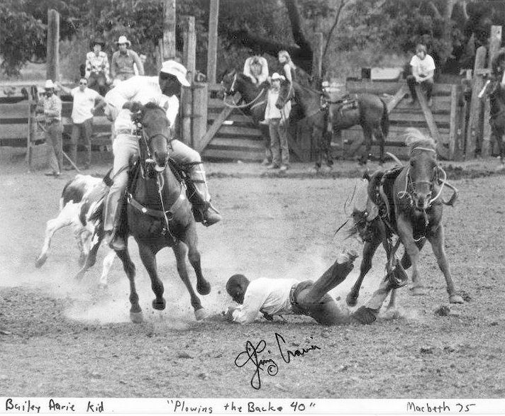 Living history for February 2026