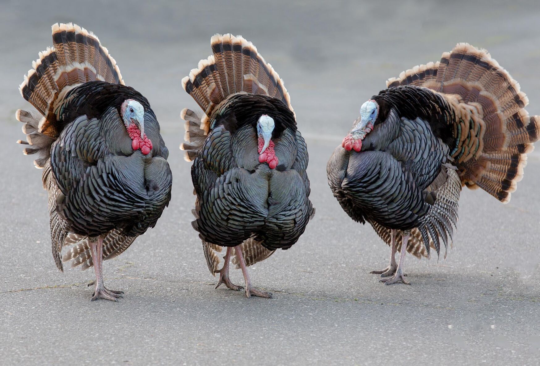 Environmental Update: Renew your environmental commitment