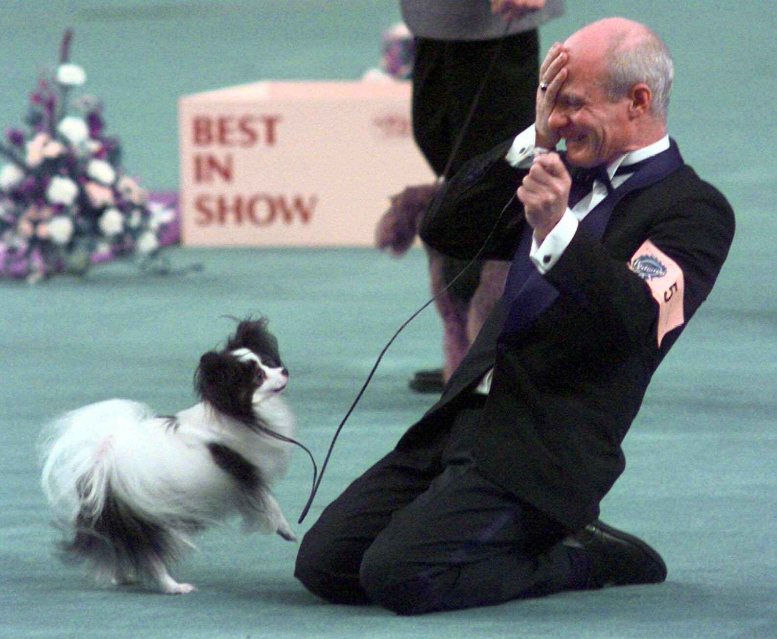 How the Westminster dog show has— and hasn’t — changed in last 150 years
