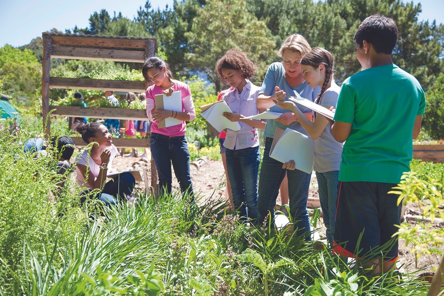 Test-run of outdoor classrooms in Georgia schools clears General Assembly