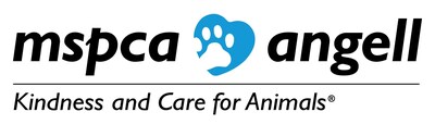 “All Access with Andy Garcia” Highlights MSPCA-Angell’s Advancements in Animal Health and Healing