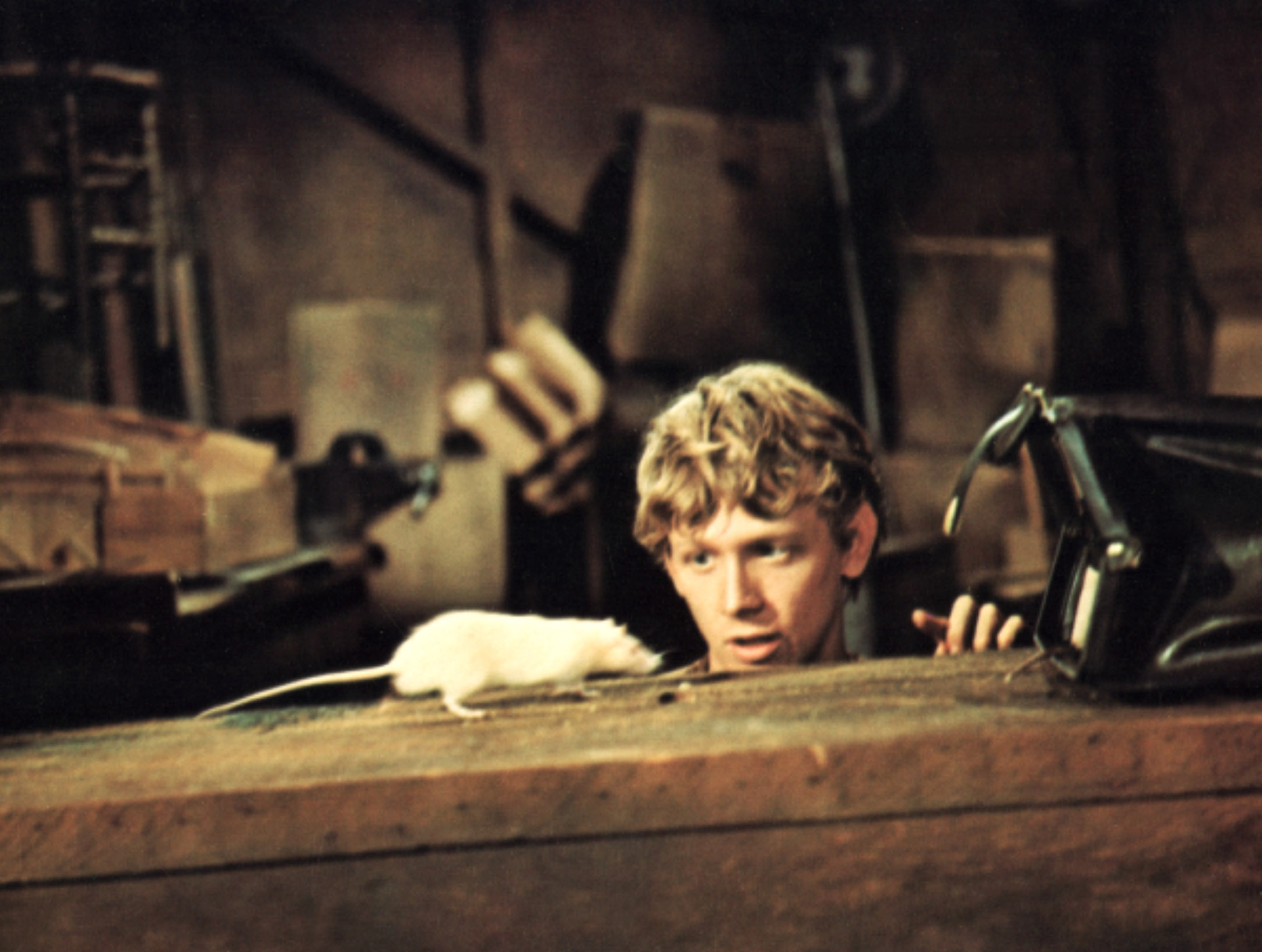 We’re Failing Our Boys… if They Haven’t Seen 1971’s Rat-Obsessed Incel Horror ‘Willard’