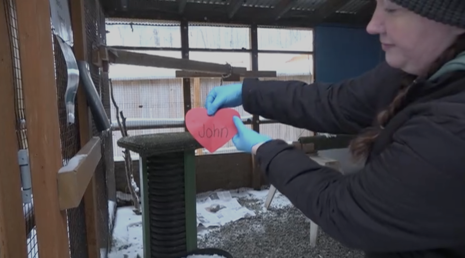 Feeling vengeful? This Alaska nonprofit will name a rat after your ex—and feed it to a bird