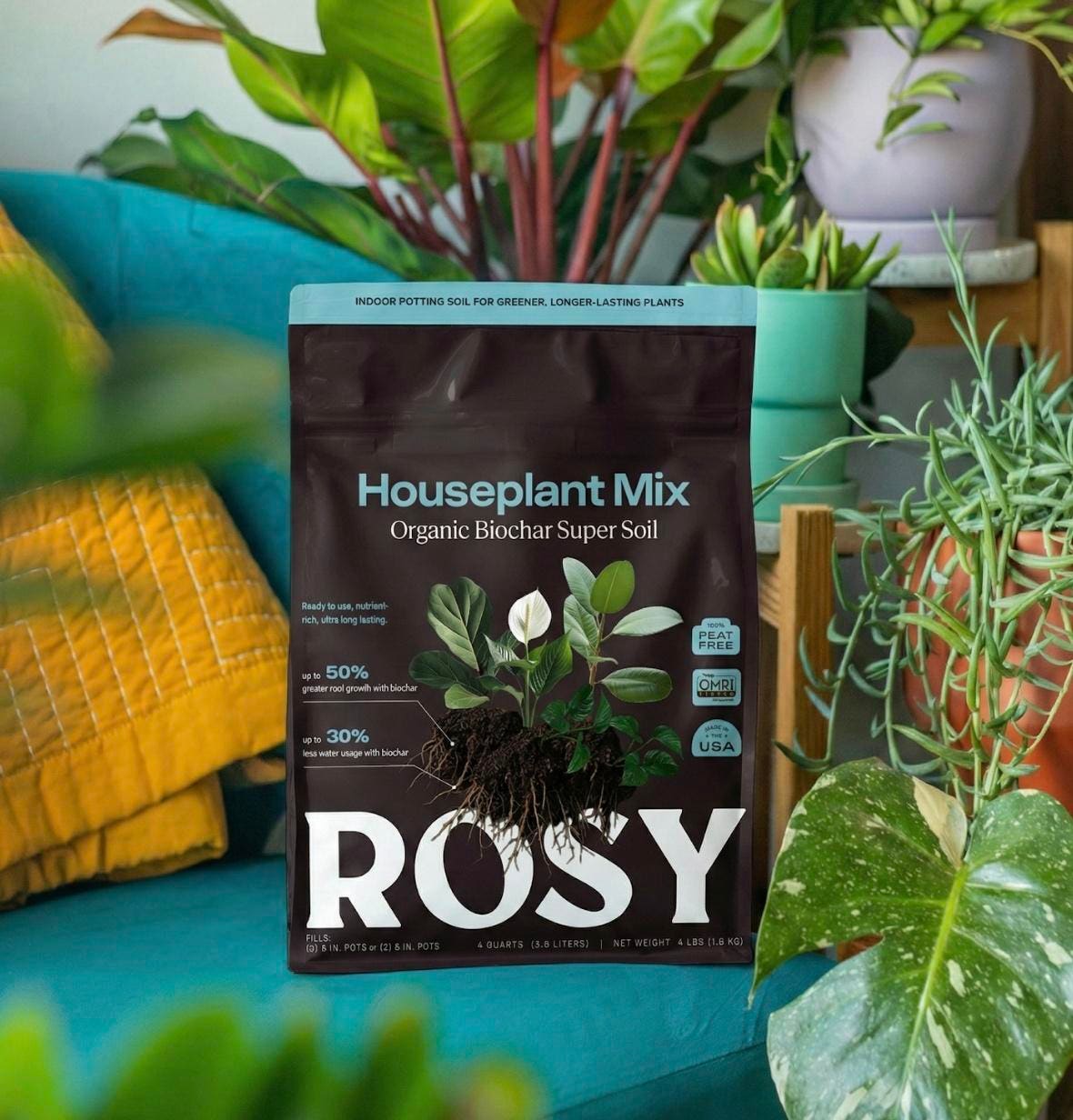 Biochar-Fueled Soil Brand, Rosy, Closes $5 Million Series A To Bring More Life To Houseplants