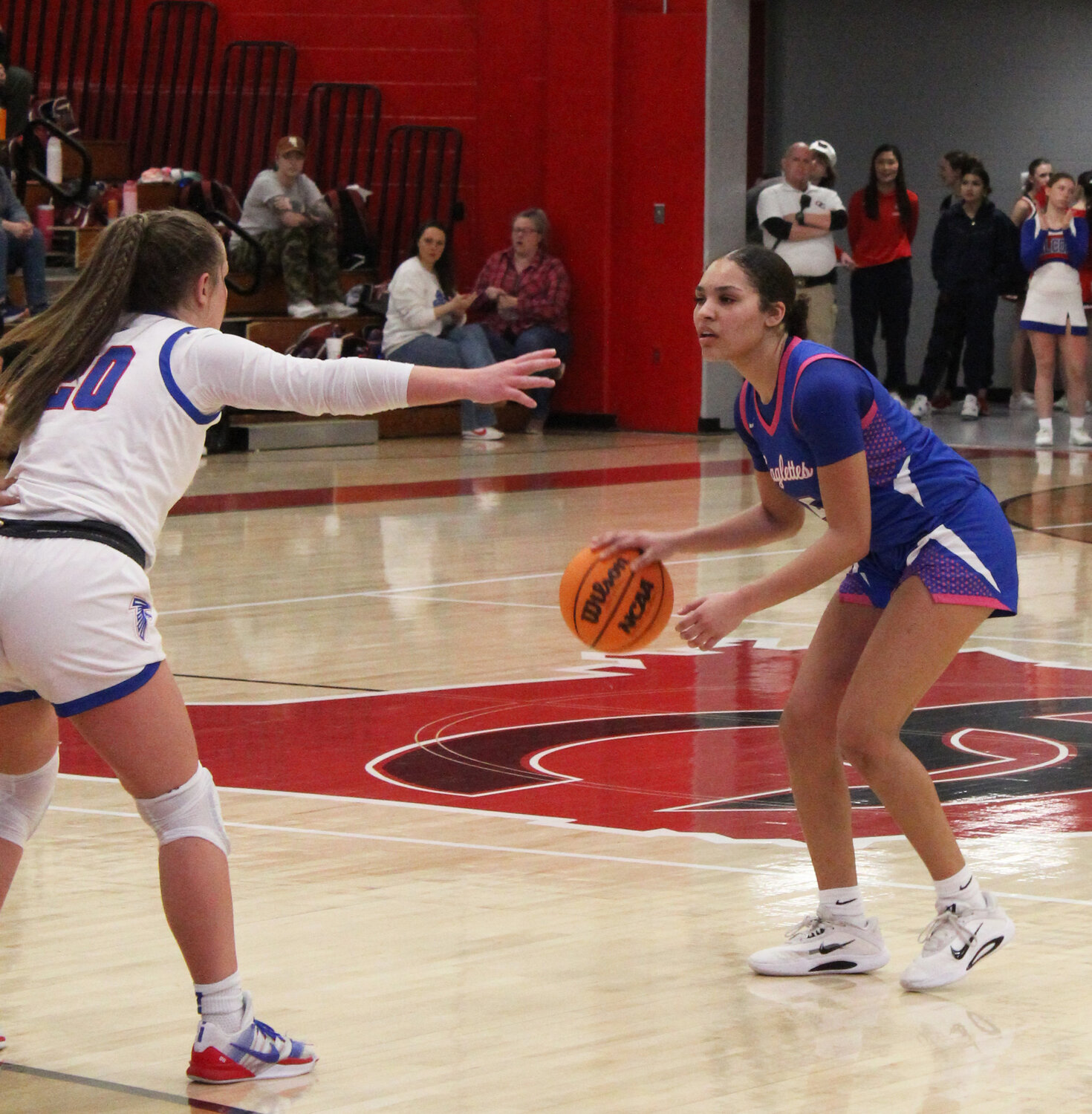Eaglettes Finish Fourth in District 6-AAAA Tournament After Last-Second Loss to Lincoln County
