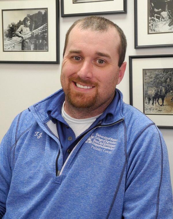 Frost Seeding Clover: A Recipe for Success