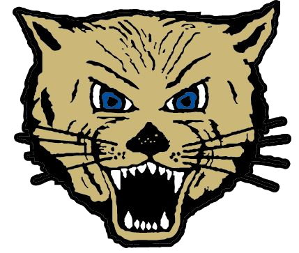 Girls wrestling: L-Cats sixth at tourney