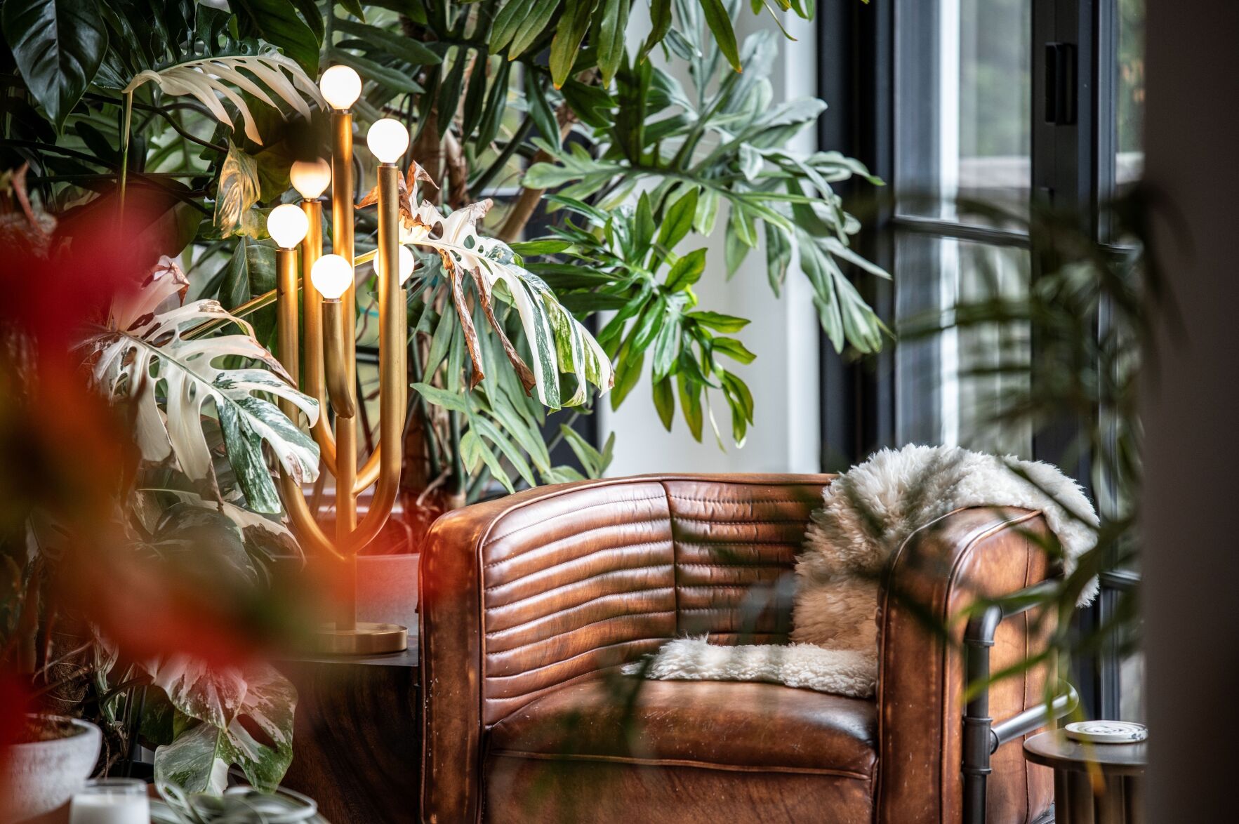 How to create a calming ‘nature nook’ with indoor plants