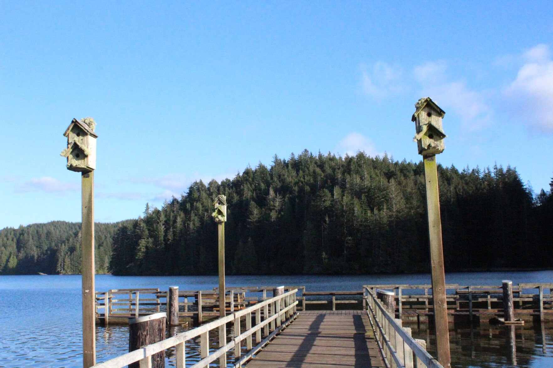 Trail Report: William M. Tugman Park and Eel Lake