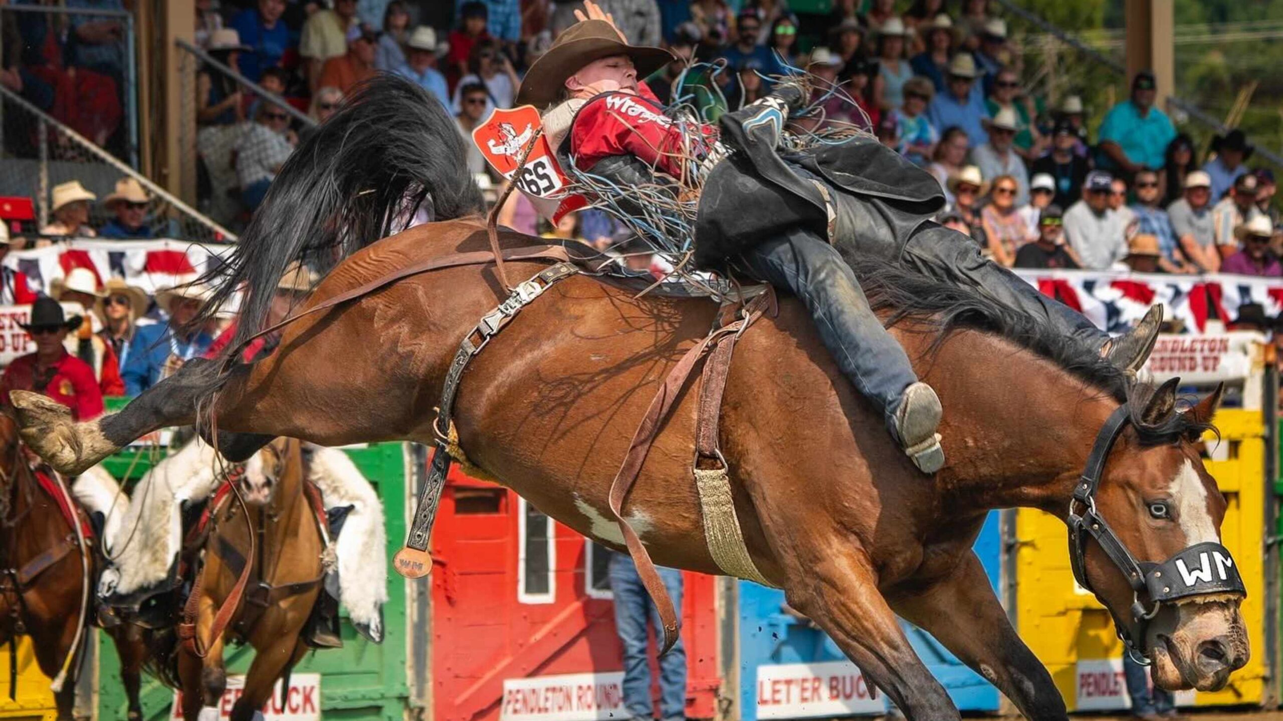 Bareback Success Keeps Schalla in All-Around Race Despite Slow Start In Bull Riding