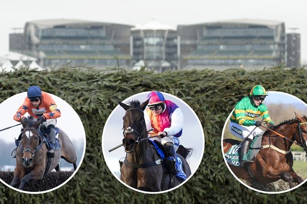 They were all in action at the Cheltenham Festival – so who are Britain’s best Grand National hopes?