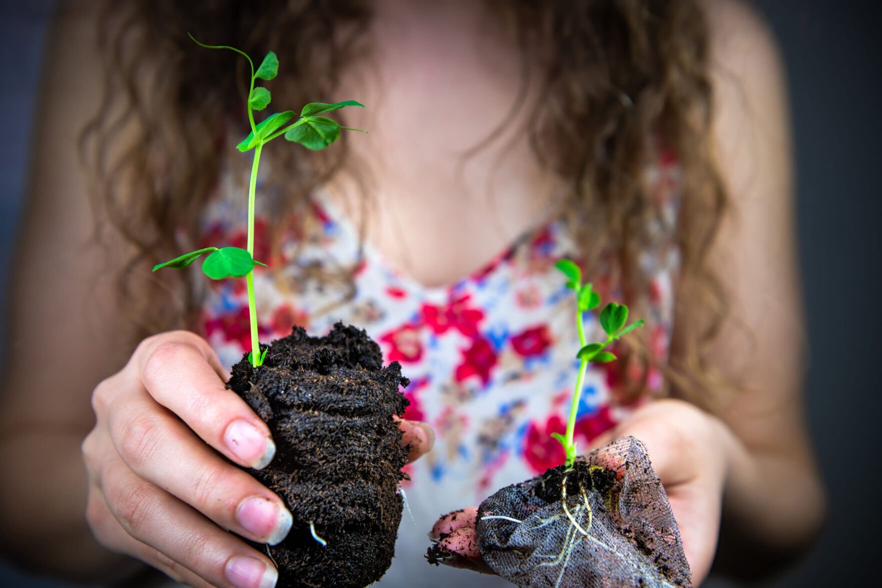 Grow your own fresh vegetables and cut your food bill this season