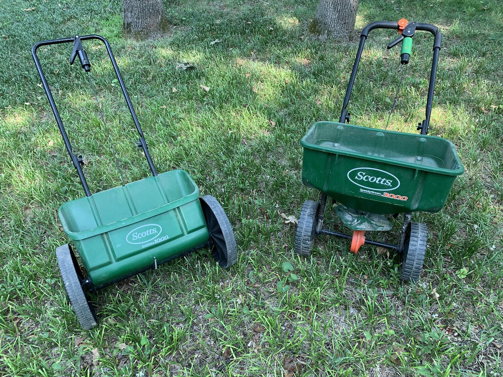 Master Gardener: Oklahoma summer heat means reseeding fescue annually