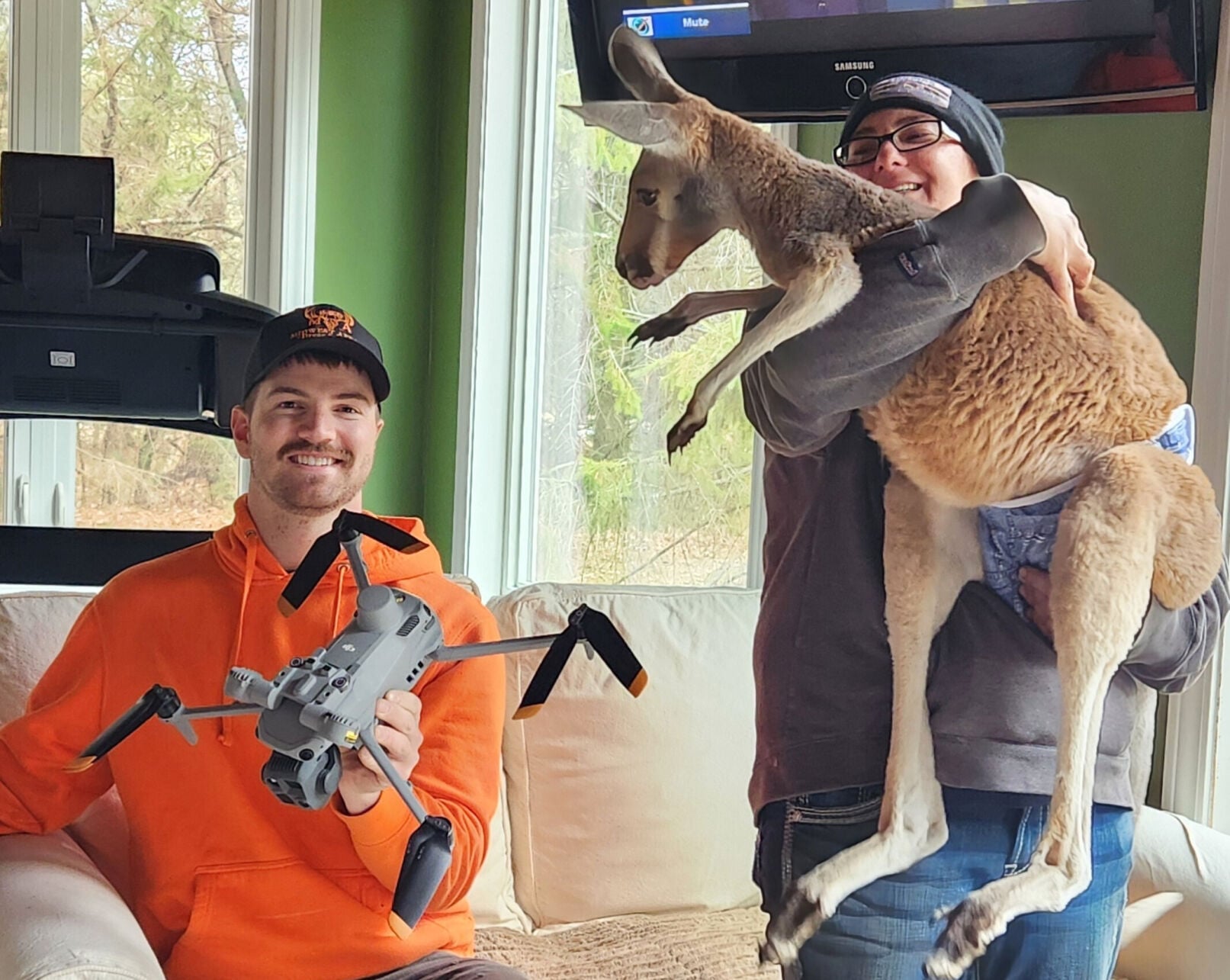 Chesney the kangaroo scales tall fence and flees petting zoo for three days on the lam