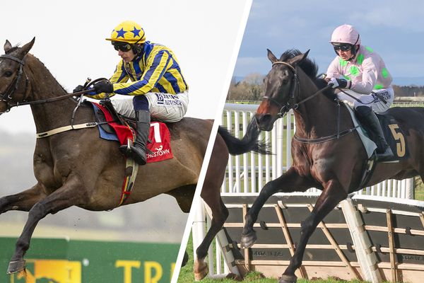 ‘She’s definitely the best we’ve ever had’ – Grand Annual third and Supreme absentee among key horses on Fairyhouse undercard