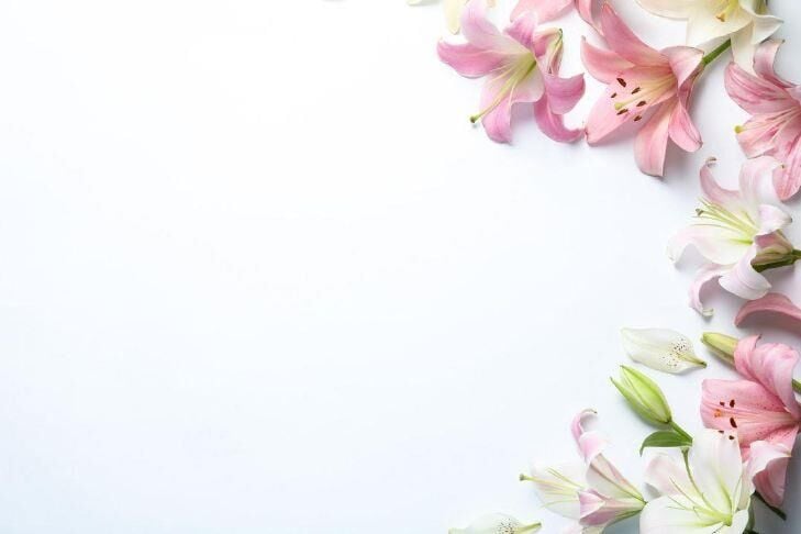 With Proper Care, an Easter Lily Can Bring Beauty Beyond the Holiday