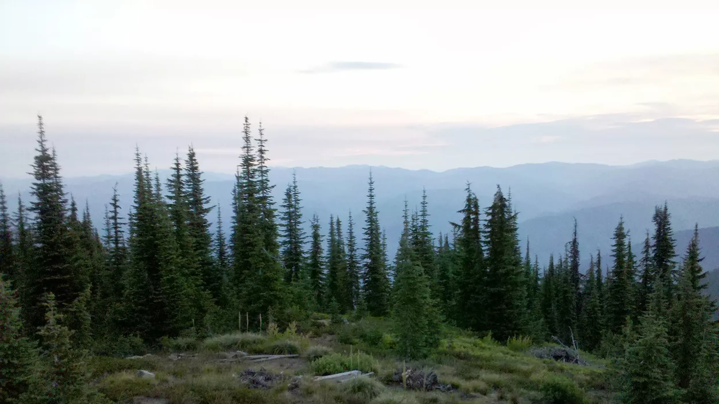 Forest Service organizational shake-up designed to get more money and work on the ground – Mon, 06 Apr 2026 PST