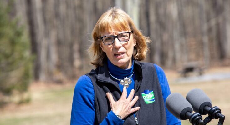 New Volunteer System Opens Access to PA Parks and Forests