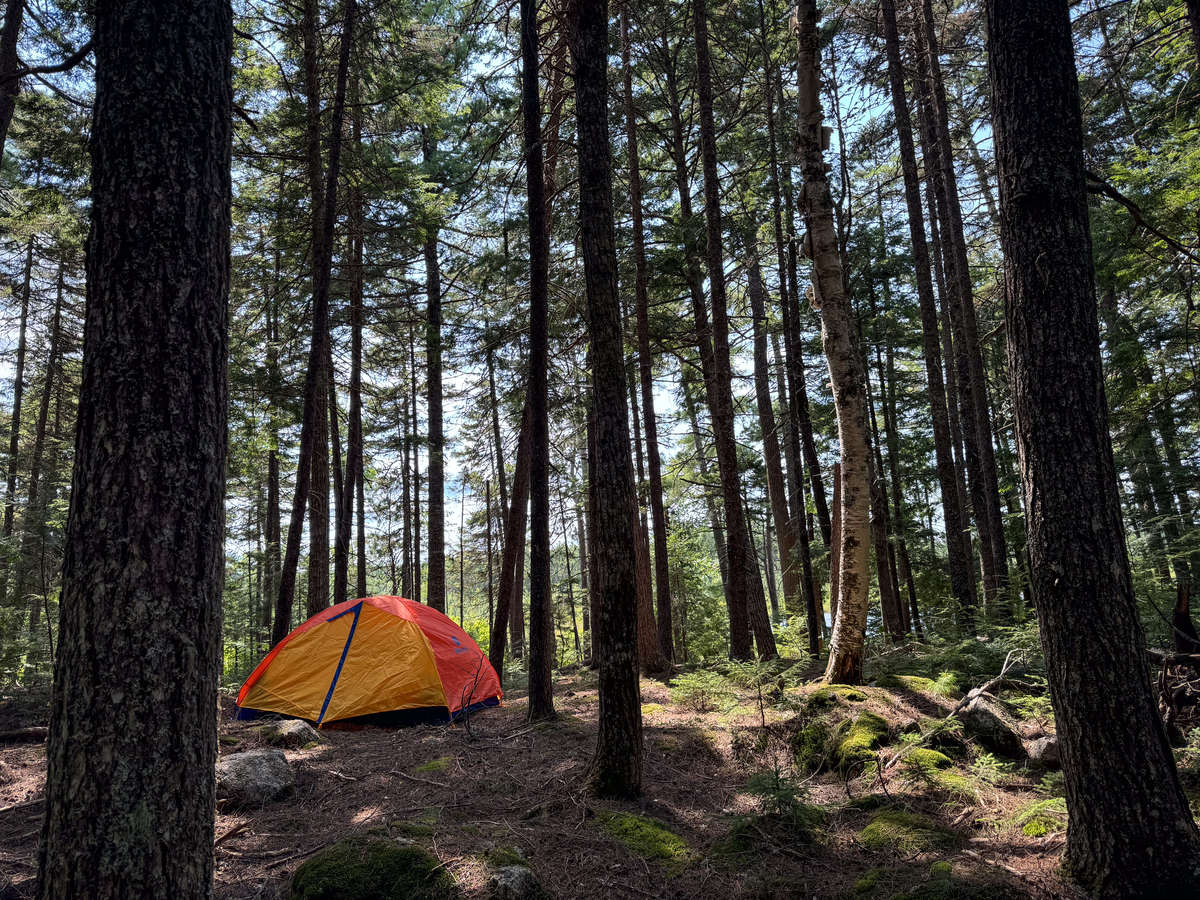 You say you’ll go camping in Maine this summer. Here’s why you won’t.