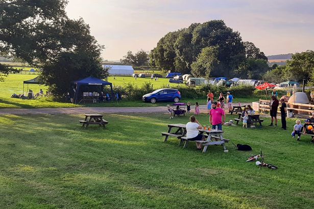 Tucked away New Forest family campsite is among is Britain’s best on a peaceful farm with tractor rides