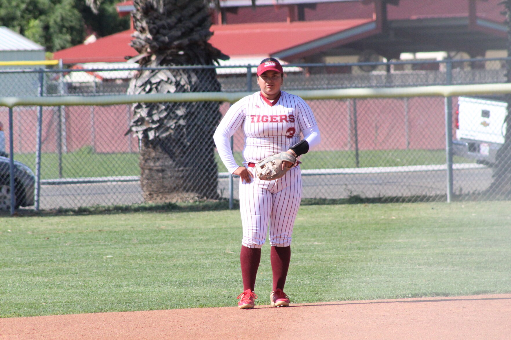 PHS Softball Hosts Annual Awards Night