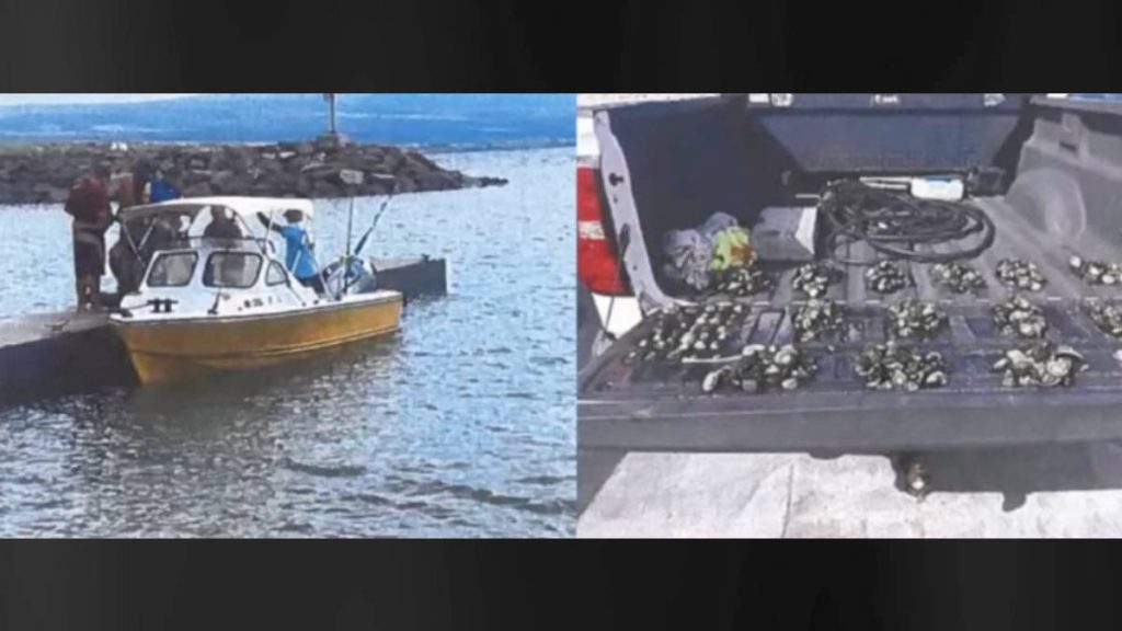 State seeks to fine 3 Big Island men for illegal take of 4,000 ‘opihi from marine reserve