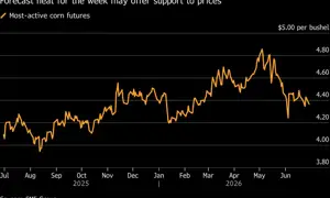 Corn Drops After US-Iran Halt Attacks as Traders Weigh US Heat