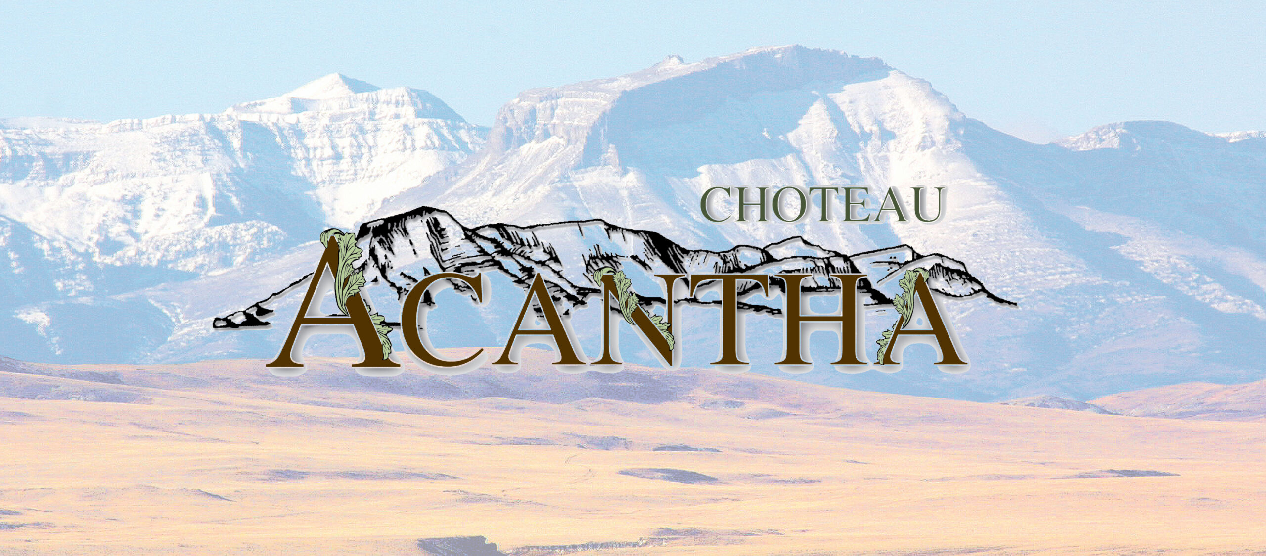 Vacation Bible School June 8-12 in Choteau