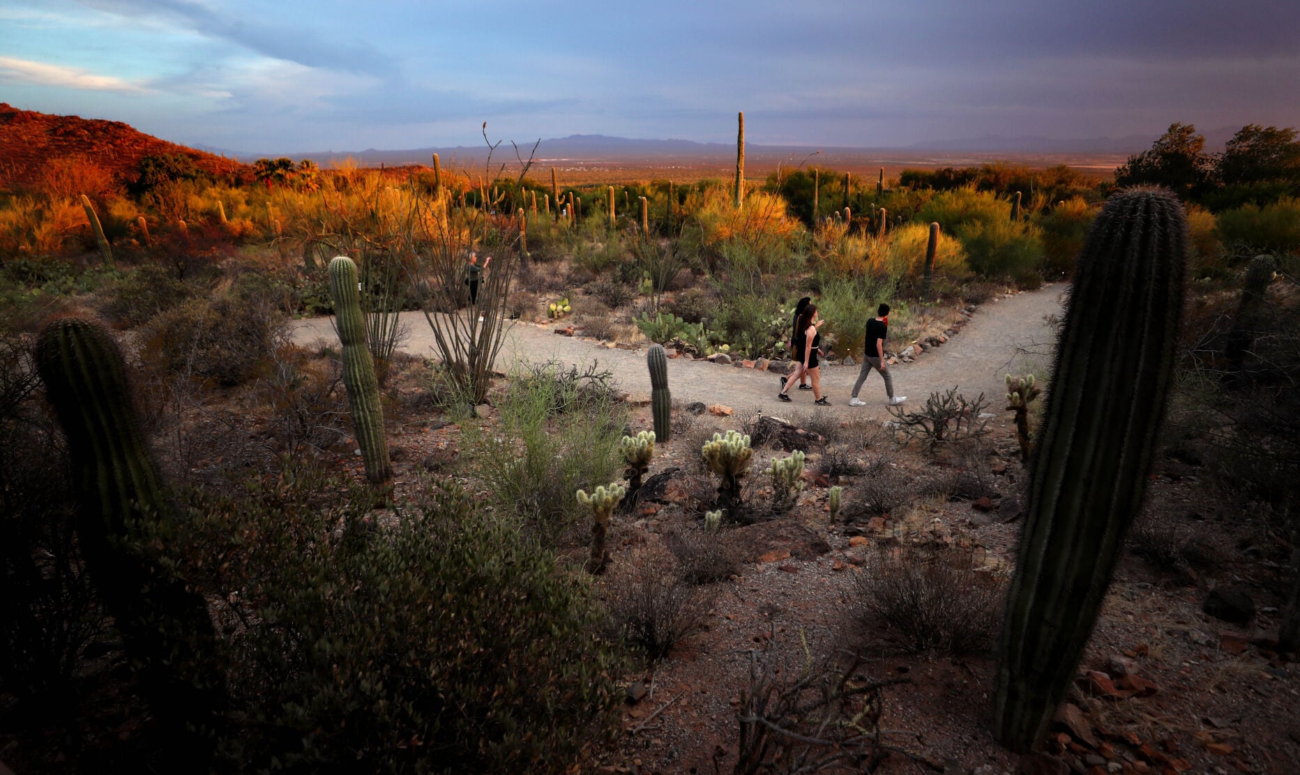 From Pride celebrations to safari nights, Tucson’s June calendar is packed