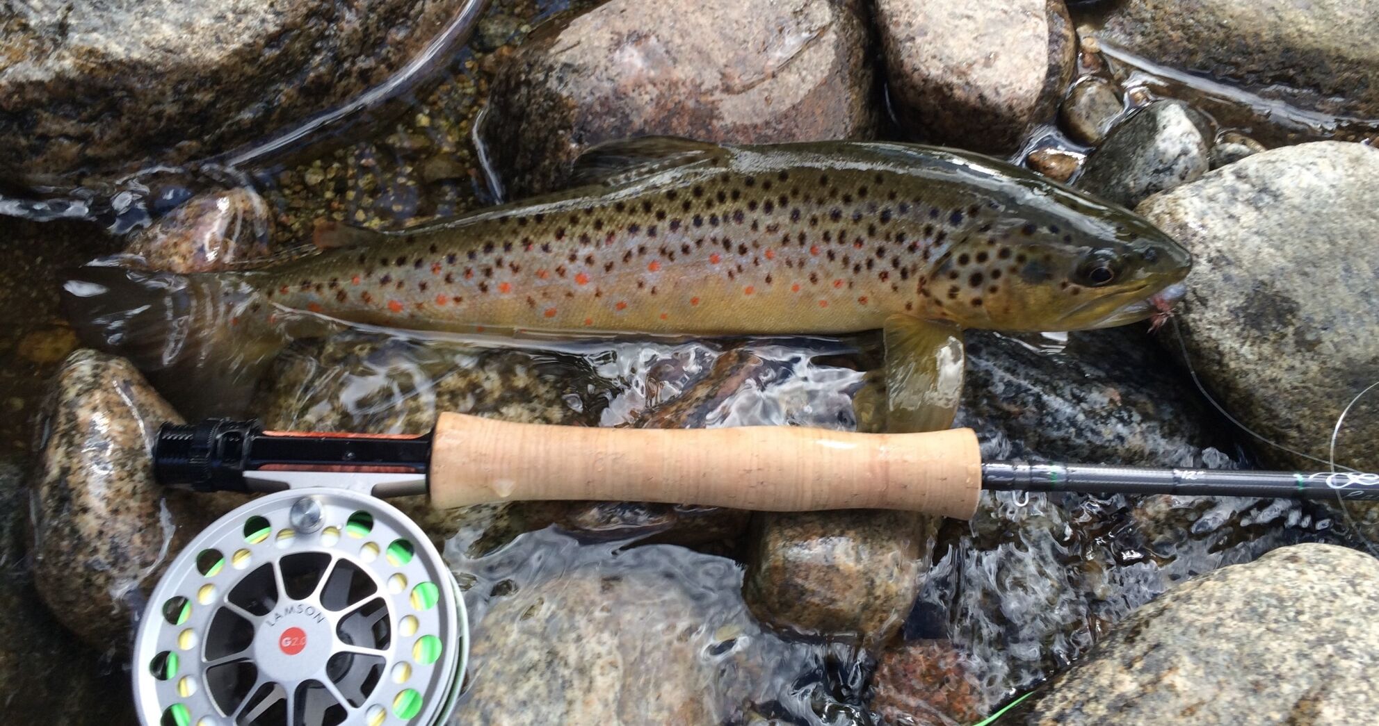 Fishing report, June 25, 2026