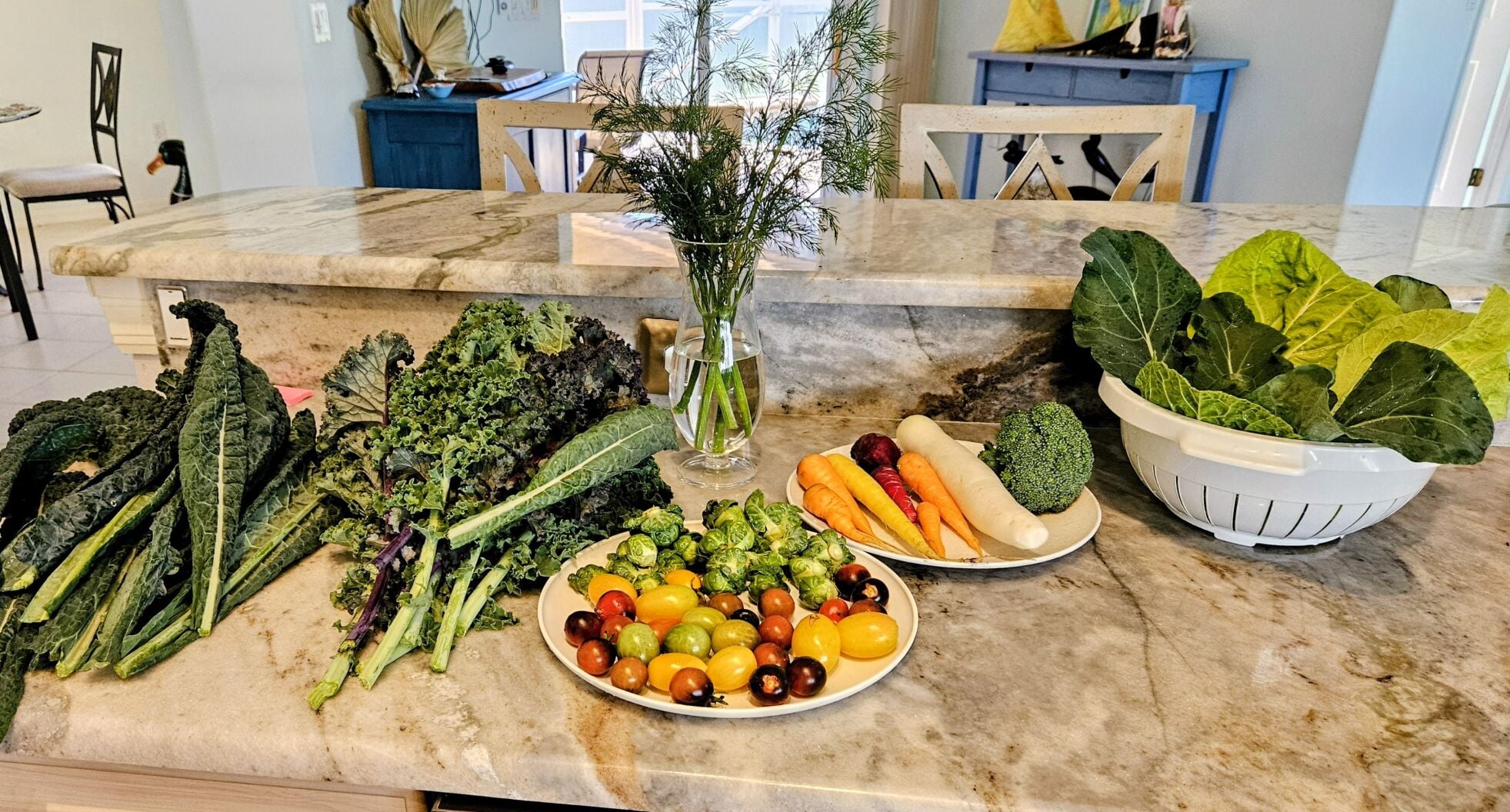 COLUMN: Here’s how Venice gardens grow