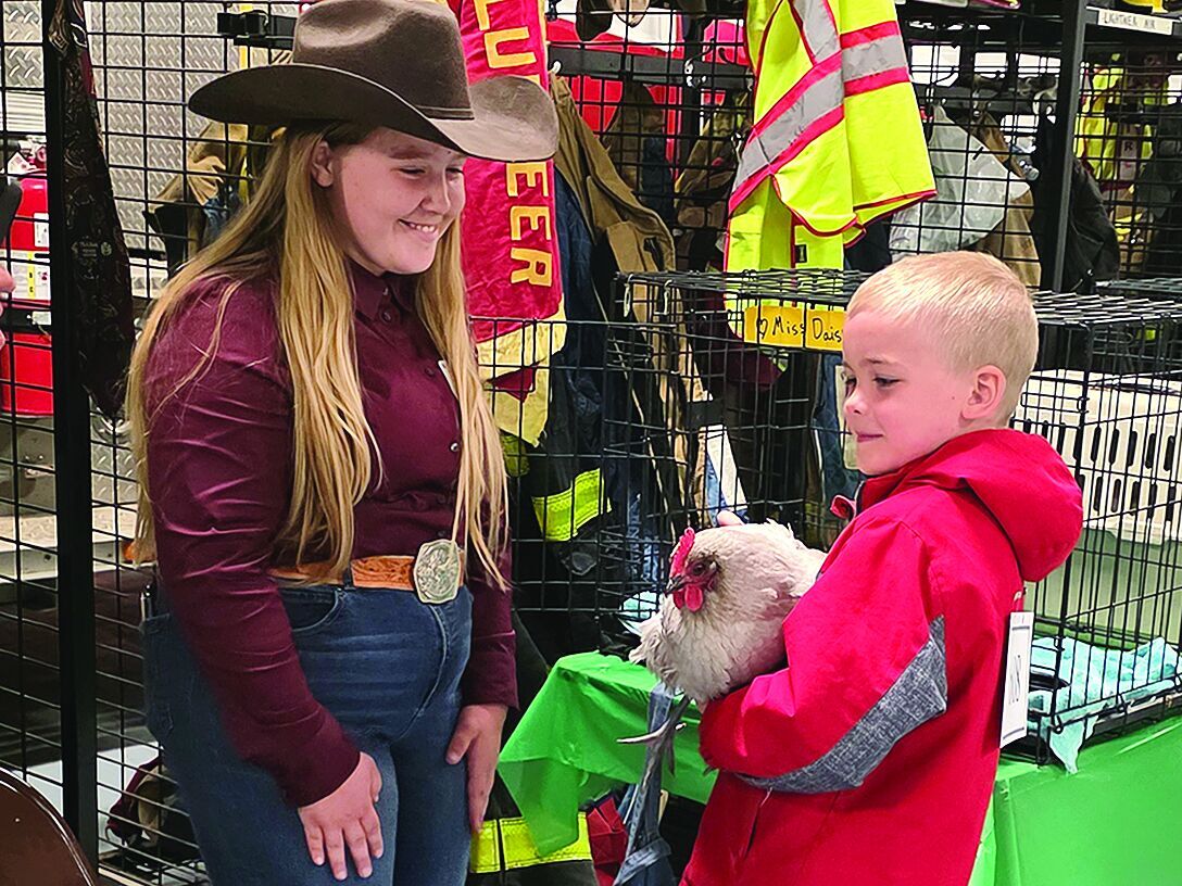 4-H members practice poultry and rabbit showmanship