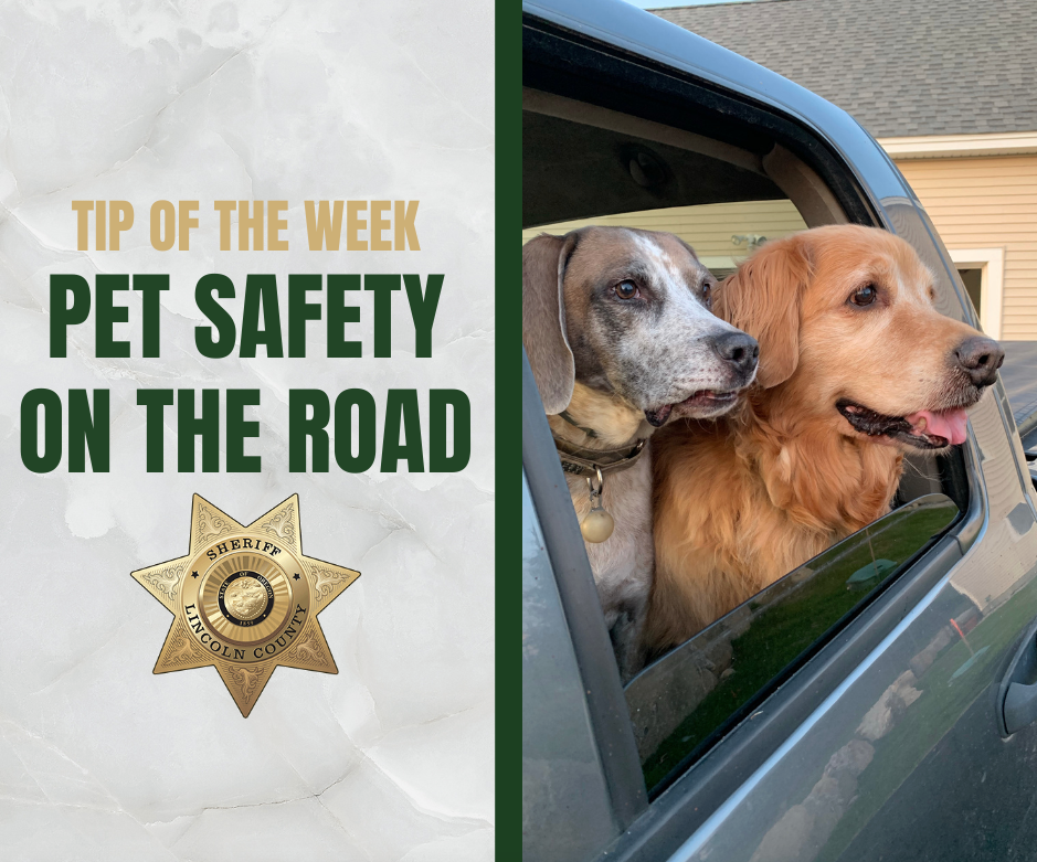 Sheriff’s Tip of the Week: Pet Safety on the Road