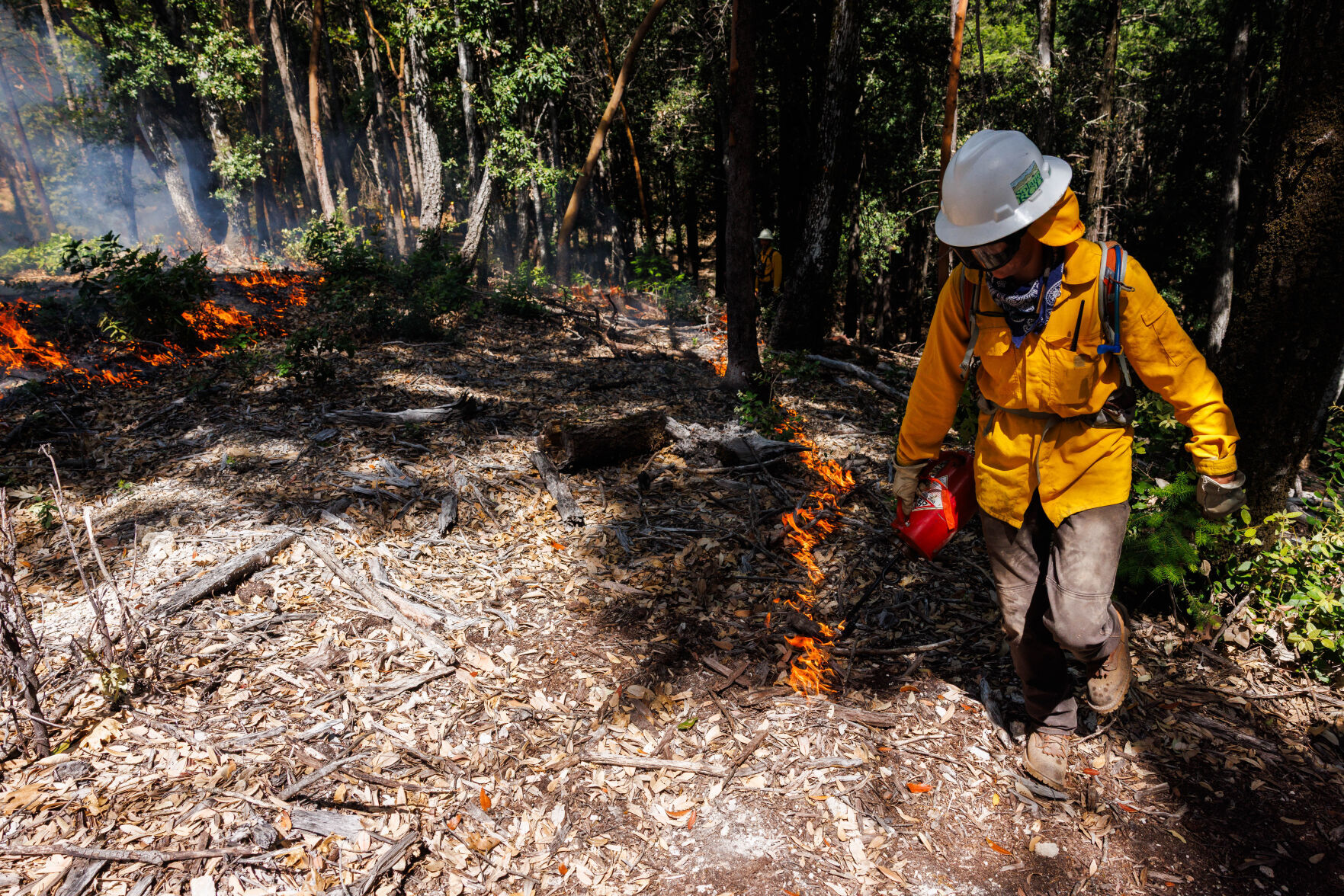 Napa County parks, wildfire safety tax measure qualifies for ballot
