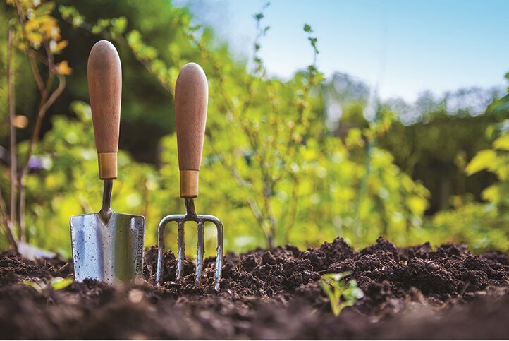 Native plants can survive the worst of times | Garden Checklist