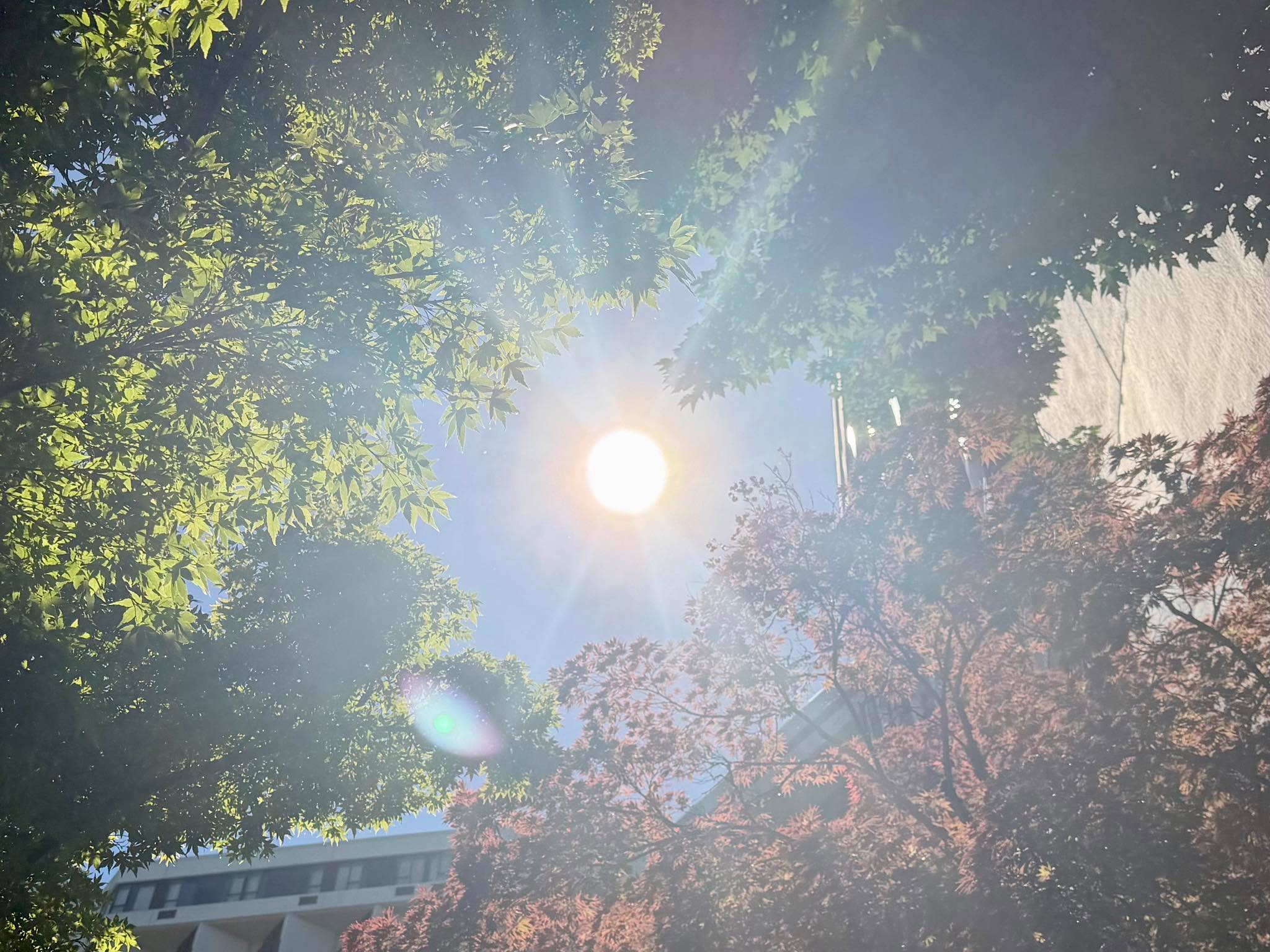 Highest heat of the season expected around Portland this weekend