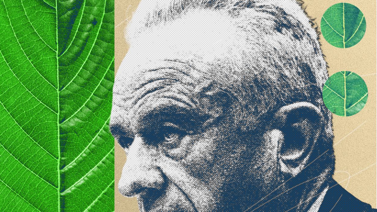 The Kratom Civil War Is Heating Up, and MAHA Has Picked a Side